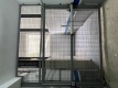 Foto4